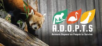 Animal Adoptions Louisville Zoo