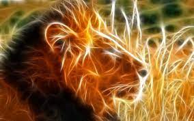 Fire Lion Wallpaper HD 76201 - Baltana