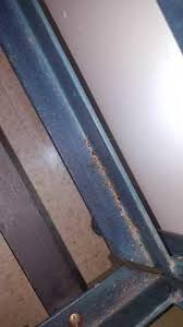 Bed Bugs On Metal Frame