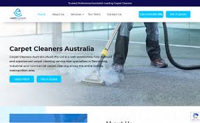 carpet cleaning s 40 best