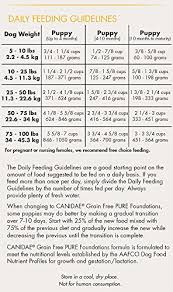 Canidae Grain Free Pure Foundations Chicken Puppy Food 4 Lbs
