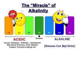 Image result for alkalinity of water
