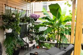 My Deck Decorating Ideas With Plants