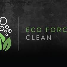 eco force clean toronto ontario