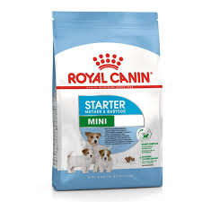 royal canin mini starter 8 5 kg dog food