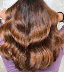 Offered by the best brands, rest assured of the quality of these bronze hair. Bronze Brown Golden Brown Hair Color Light Golden Brown Hair Bronze Hair Color