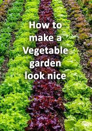 How To Make A Vegetable Garden Look