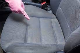 mold in your car