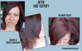 28 Albums Of Full Highlights Hair Cuttery Explore