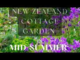Cottage Garden In Mid Summer