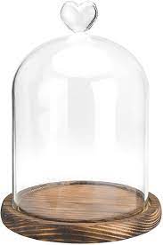 Glass Cloche Jar Display Glass Dome