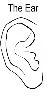 You can use our amazing online tool to color and edit the following ear coloring pages. The Ear Coloring Pages Kids Play Color