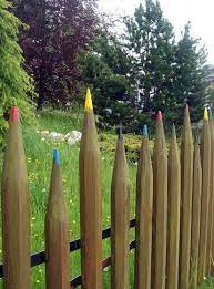 Quirky Garden Fence Ideas Green Onion