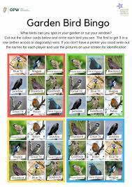 bird bingo activity sheet national