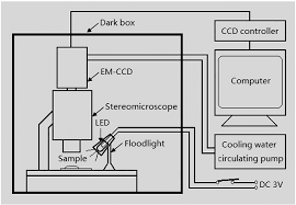 It is manufactured in various inches. Schematic Drawing Of The Biophoton Imaging System A Stereomicroscope Download Scientific Diagram