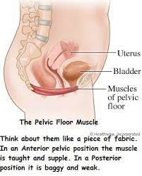 no more pelvic floor muscle exercises