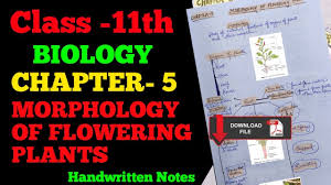 handwritten notes biology neet2023