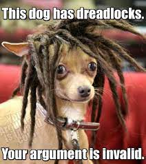A little humor is enough to take away the worries of your boyfriend and bring a smile on his face. Funny Dreadlocks Quotes Quotesgram