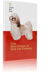 Shih tzu bichon mix puppies are likely to end up with a combination did you find a puppy? Shih Tzu Training Characteristics Care Trainpetdog
