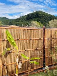 Japanese Bamboo Fence Fence Fence