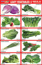 leafy vegetables chart at rs 10 piece