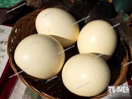 ostrich eggs at outdoor market