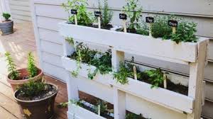 food with this easy pallet herb garden