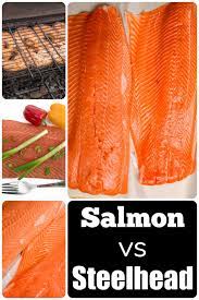 steelhead vs salmon kitchen laughter