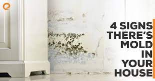 4 signs there s mold in your house