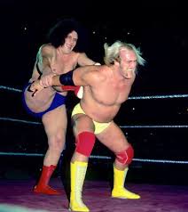 Many of them are retired but want to do something useful with their time. The Story Of Andre The Giant Taking An Actual S On Hulk Hogan During In A Match In Wwe To Prove A Point