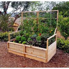 Garden In A Box With Trellis Lid