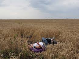 Malaysia airlines flight 17 (mh17) was a scheduled passenger flight from amsterdam to kuala lumpur that was shot down on 17 july 2014 while flying over eastern ukraine. Malaysia Airlines Ukraine Crash Jerome Sessini Photographs Time