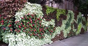 Living Green Walls India Should Look