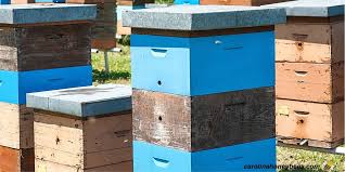 langstroth hive dimensions beekeeper s