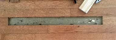 fix a termite damaged hardwood floor