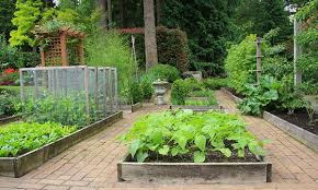 Ultimate Guide To Raised Bed Gardening