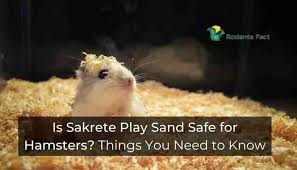 Is Sakrete Play Sand Safe For Hamsters