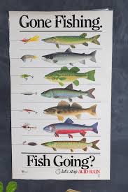 Vintage Gone Fishing Acid Rain Chart By Environment Ontario 1950s Developing Rhyming Words Chart 2700 A Retro Elementary School Decor
