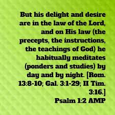 Psalm 1:2 AMP | Psalms, Psalm 1, Teachings