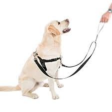 Freedom Harness No Pull Dog Harness Multi Use Velvet Lining