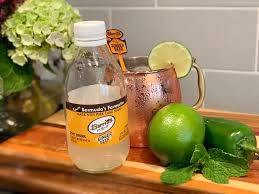 mexican mule with barritt s ginger beer