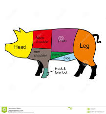 Pig Cutting Chart Stock Vector Illustration Of Lard 17935243