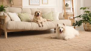 carpet ripped up by your dog