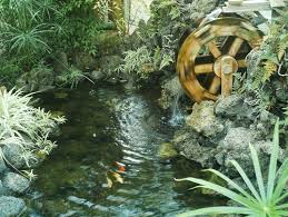 Decorative Ponds Ideas For Home