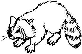 We will be very happy to help you. Thesebemypics Cartoon Raccoon Coloring Page