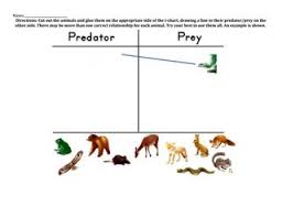Lsearle Unit Plan Lesson 2 Predator Prey Hw By Louise Searle