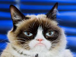 How to knoe what killded my kitten. Grumpy Cat S Death Marks The End Of The Joyful Internet Wired
