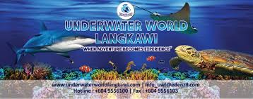Image result for underwater world langkawi