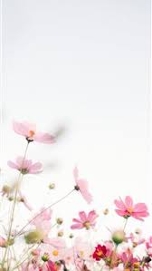best flowers iphone hd wallpapers