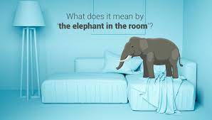 elephant in the room business idioms